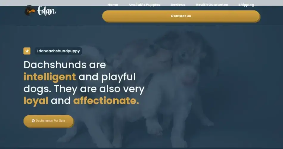 Is Edandachshundpuppy.com legit?