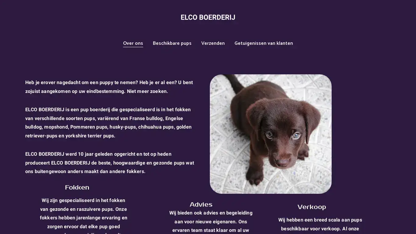 is ELCO BOERDERIJ - Fokken en Verkopen van Pups | ELCO BOERDERIJ legit? screenshot