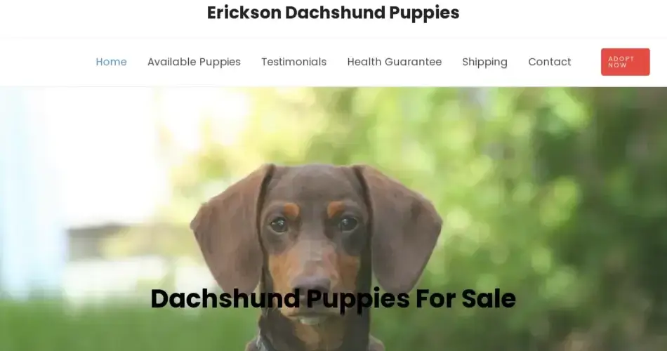 Is Ericksondachshundpuppies.com legit?