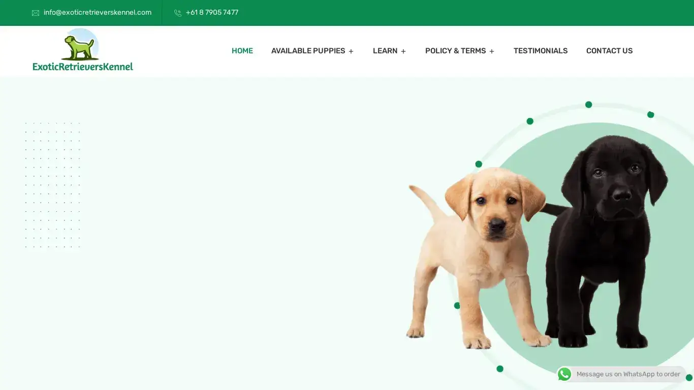is Exotic Retrievers Kennel – Purebred Labrador retriever puppies For Sale legit? screenshot