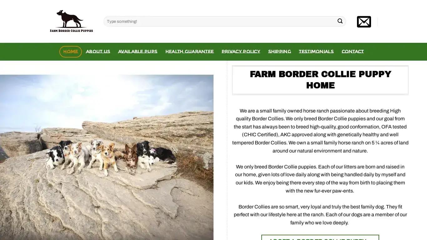 is Farm Border Collie Puppies – Border Collie Puppies for Adoption legit? screenshot