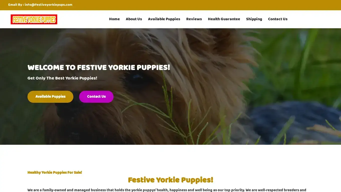 is Welcome | Registered Yorkie Puppies for sale |  www.festiveyorkiepups.com legit? screenshot