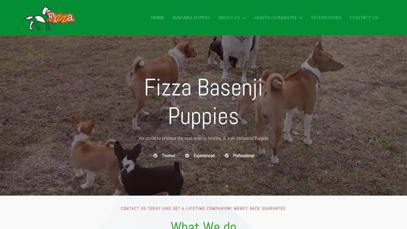 is Fizza Basenji Puppies – We have the most beautiful Basenji puppies with a variety of colors. legit? screenshot