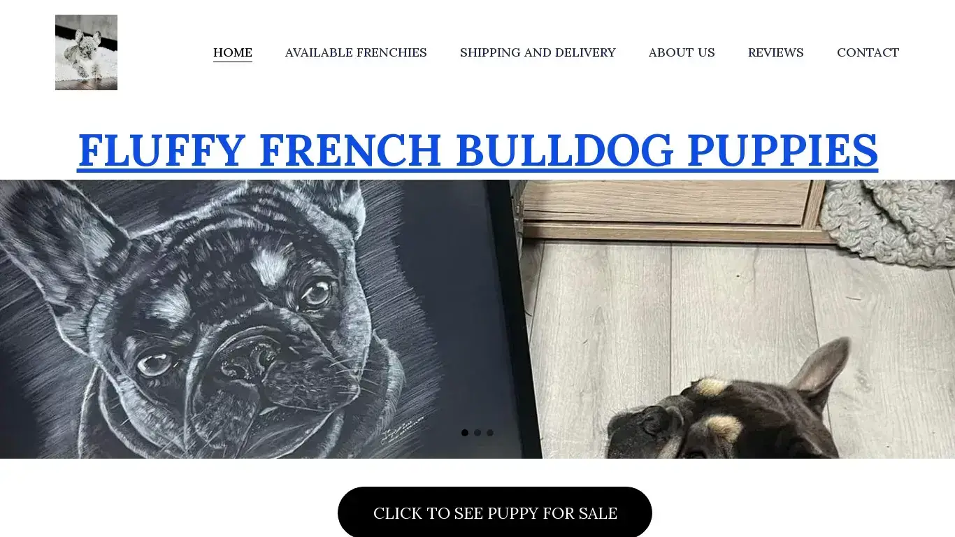 is French Bulldog Puppies for Sale | Raised in a Loving Environment | french bulldog puppies legit? screenshot