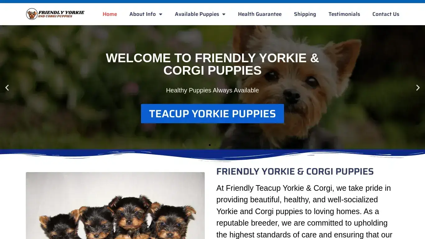 is Friendly Yorkie & Corgi Puppies – Friendly Yorkie & Corgi Puppies legit? screenshot
