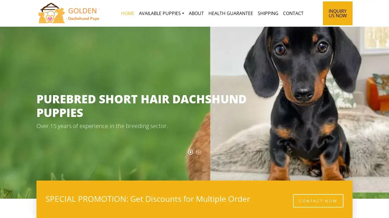is Dachshund Dog Breed, Dachshund Puppies for Sale, Male & Female legit? screenshot