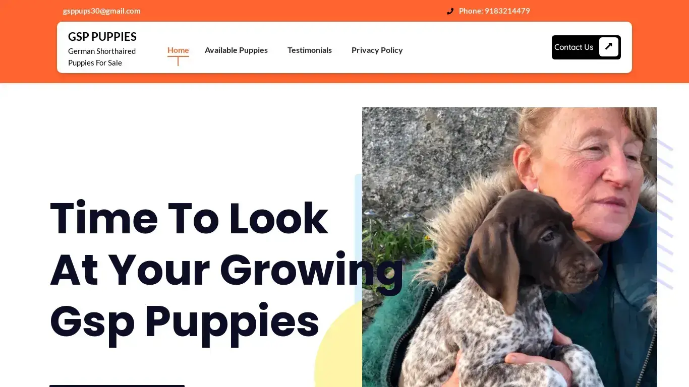 is GSP PUPPIES – German Shorthaired Puppies For Sale legit? screenshot