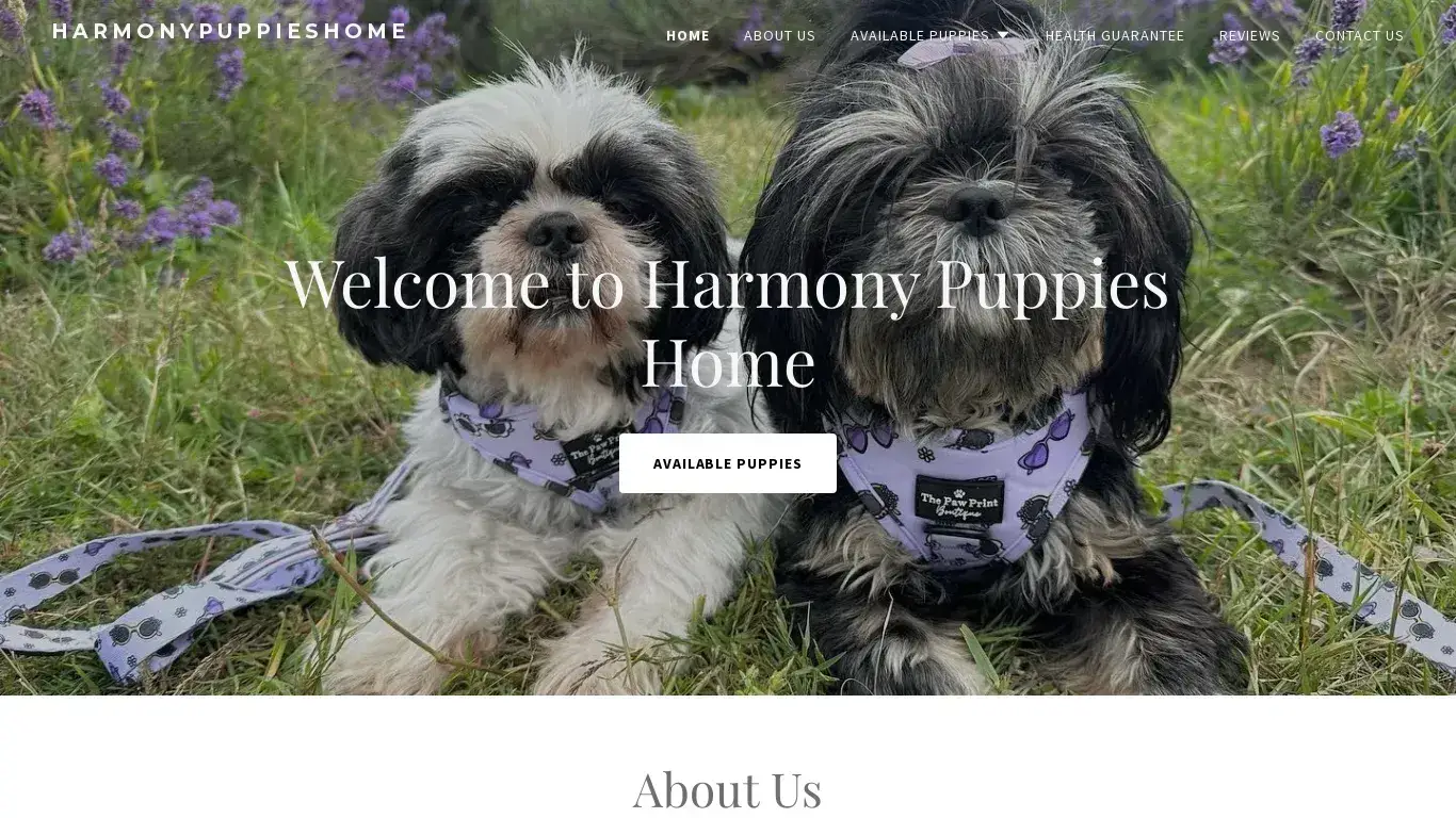 is Harmony Puppies Home legit? screenshot