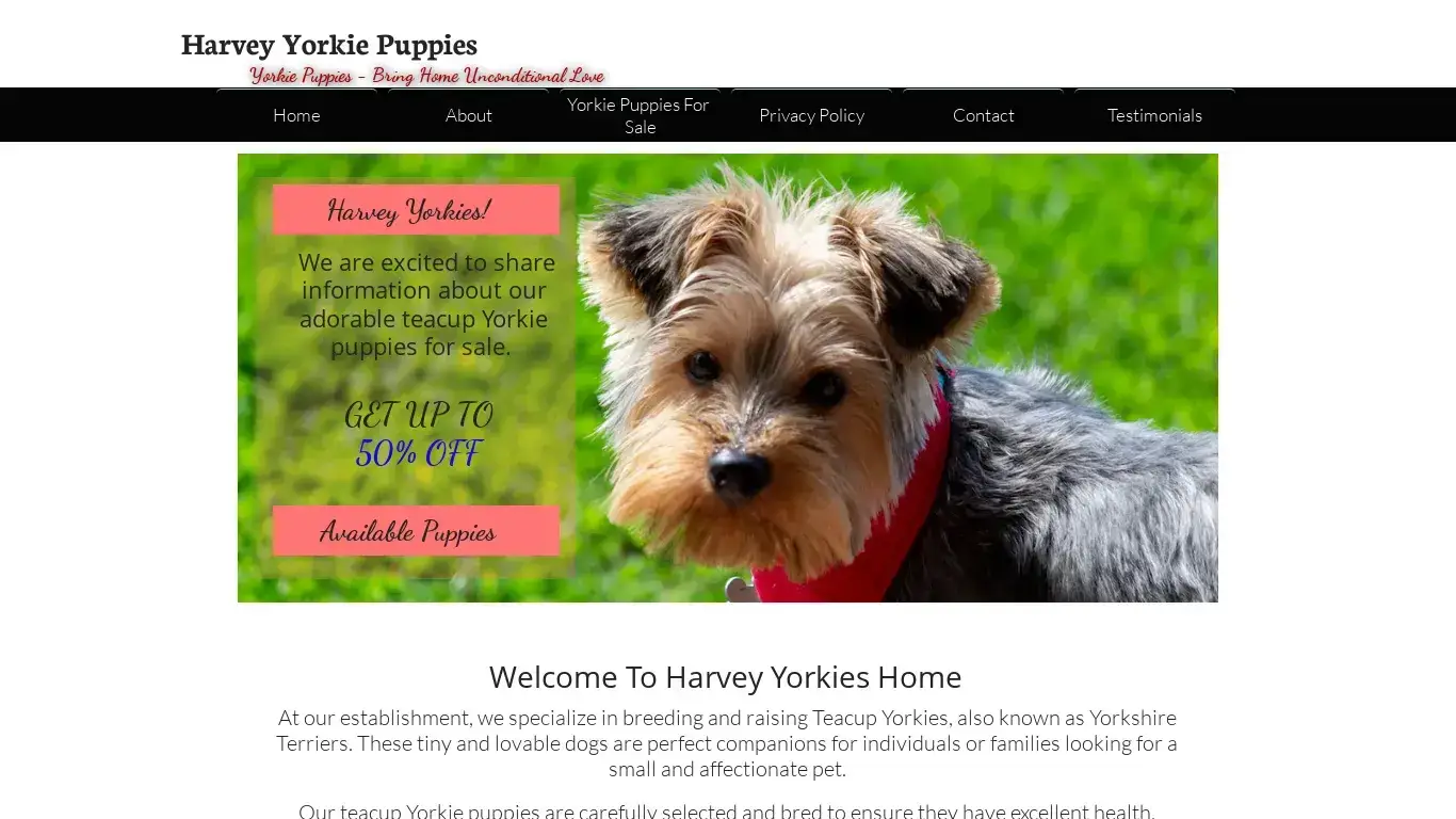 is Welcome to Harvey Yorkie Puppies for Sale - Find Your Perfect Companion Today legit? screenshot