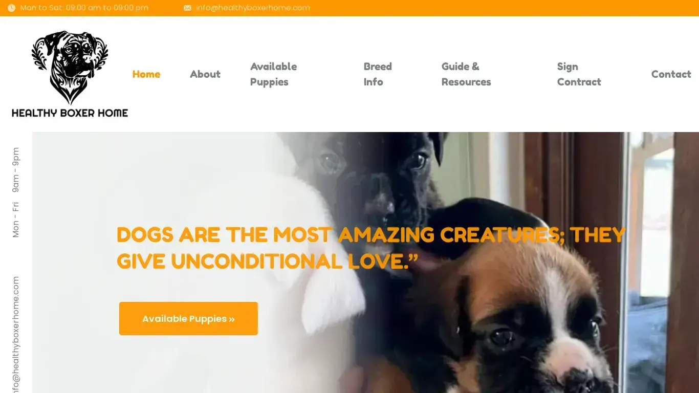 is Healthy Boxer Home – Boxer Puppies- Certified Breeder legit? screenshot