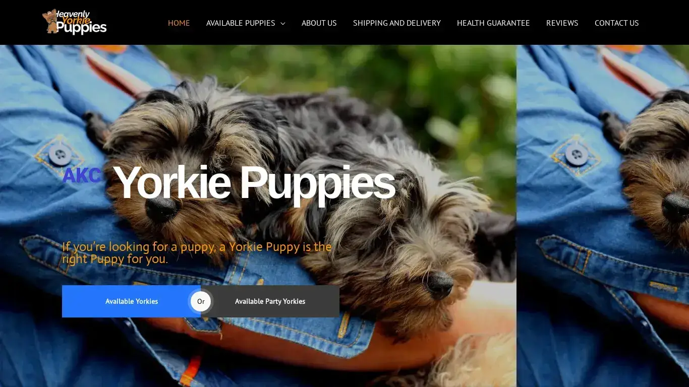 is Heavenly Yorkie Puppies legit? screenshot