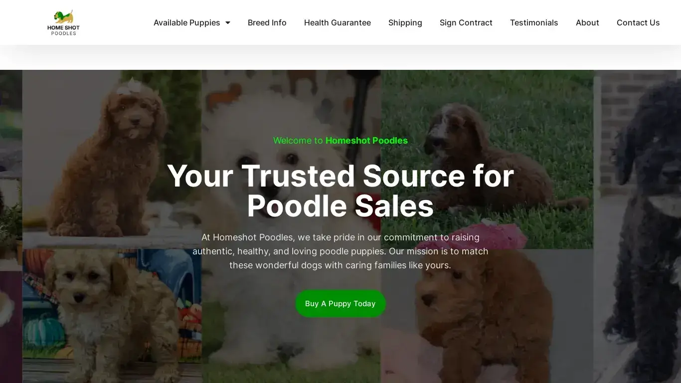 is Home Shot Poodles – Discover the Perfect Companion with Our Poodles legit? screenshot