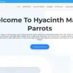 Is Hyacinthmacawparrots.com legit?
