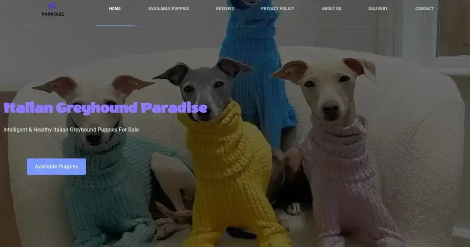 Is Italiangreyhoundparadise.com legit?
