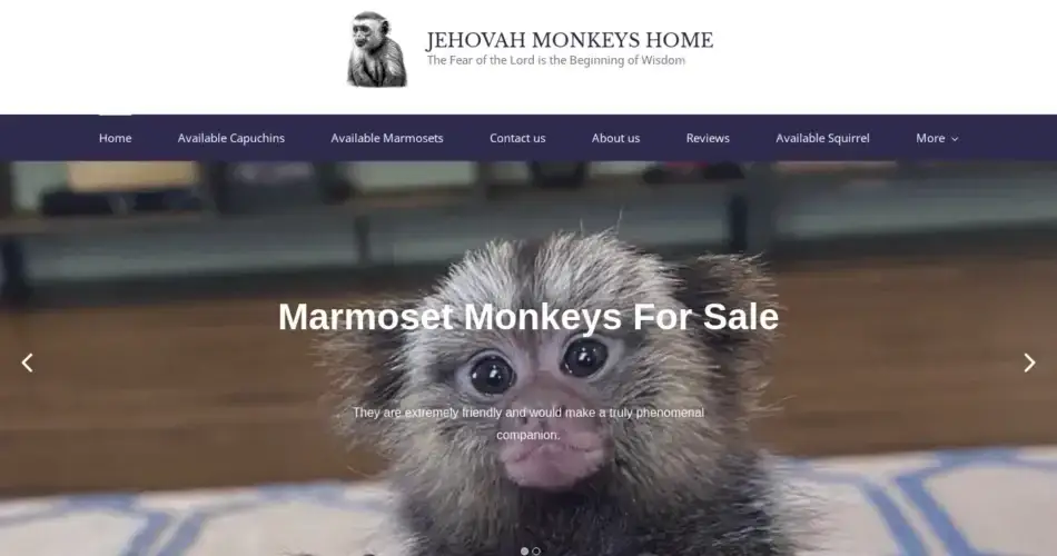 Is Jehovahmonkeyshome.com legit?