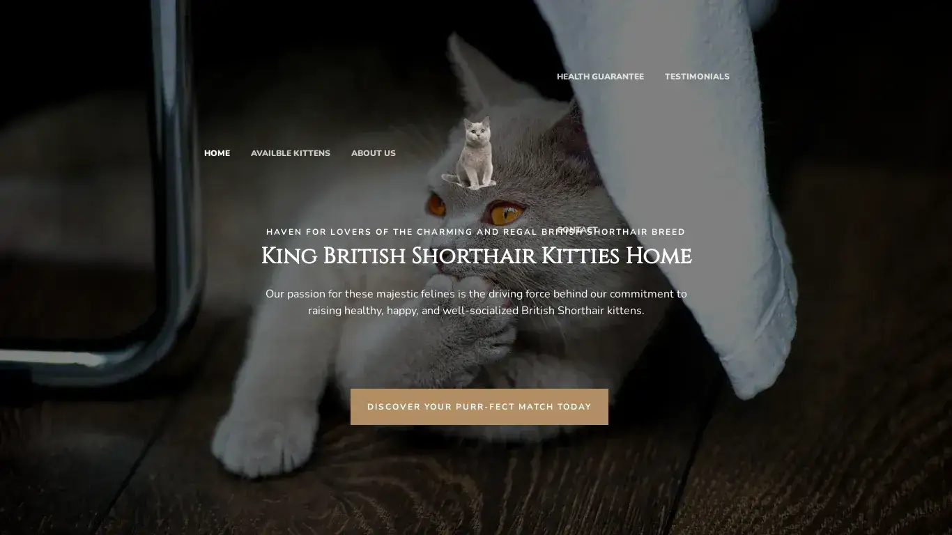 is King British Shorthair Kitties Home legit? screenshot