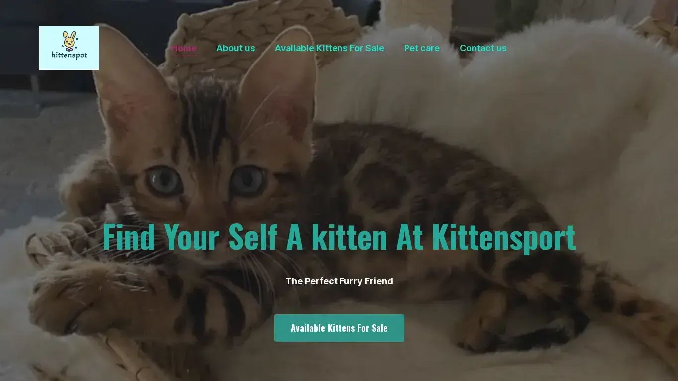 is Find Your Perfect Kitten | kittens legit? screenshot