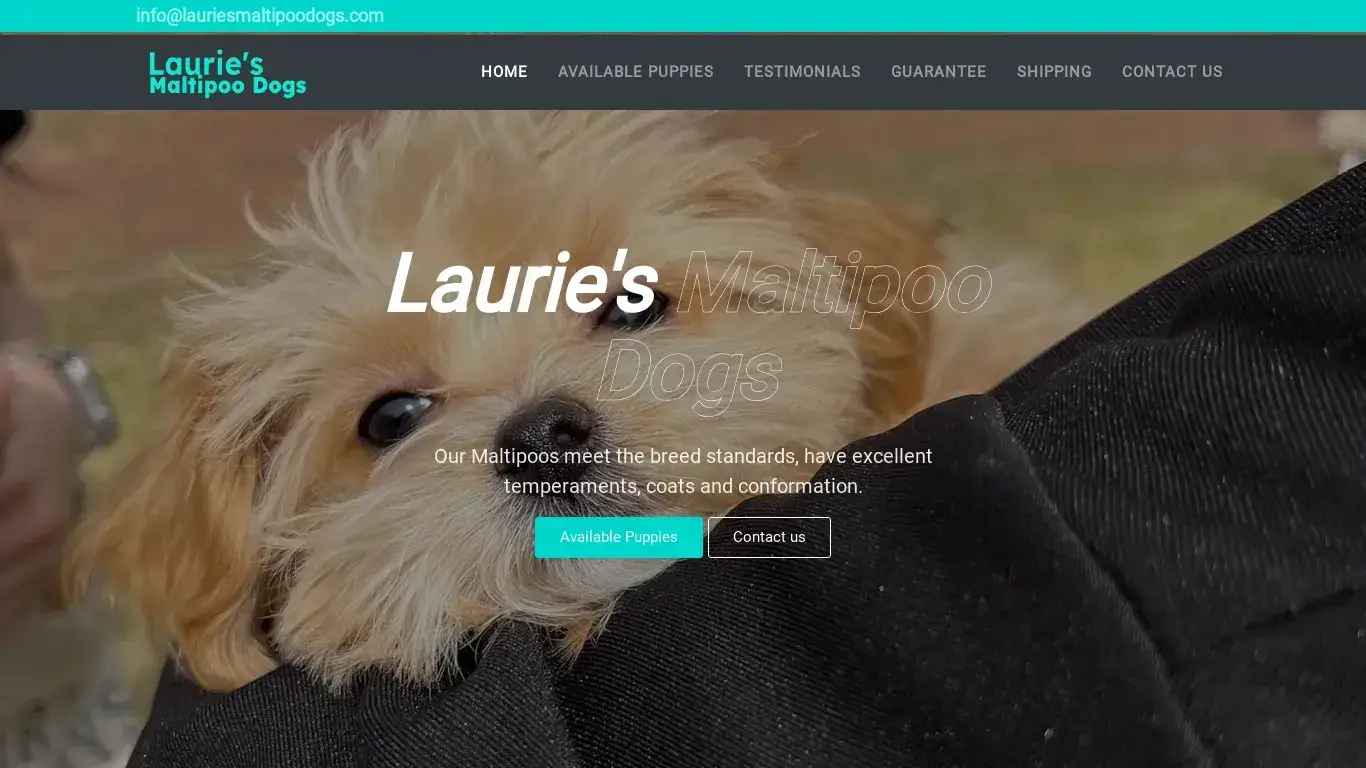 is Welcome | Laurie's Maltipoo Dogs legit? screenshot