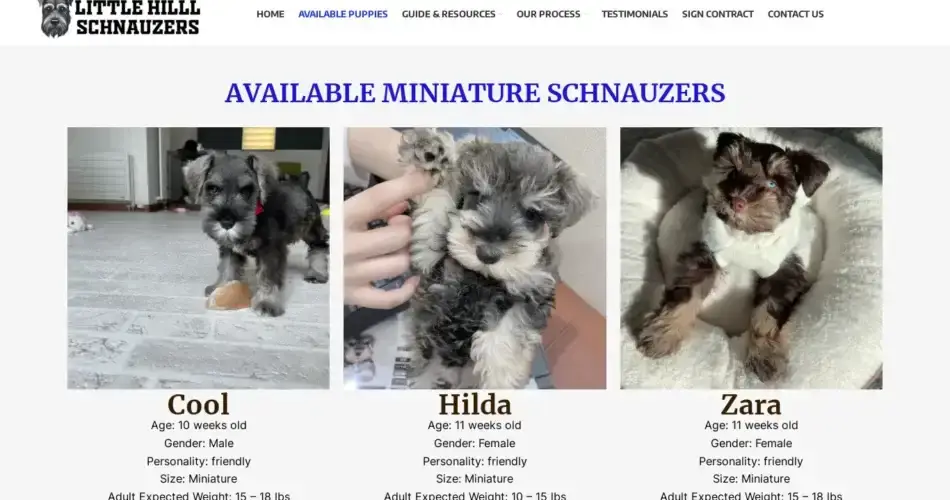 Is Littlehillschnauzers.com legit?