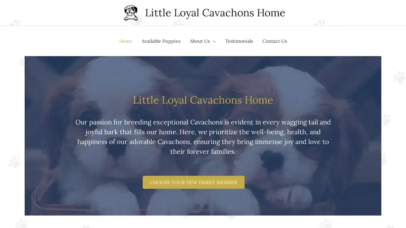 is Little Loyal Cavachons Home legit? screenshot