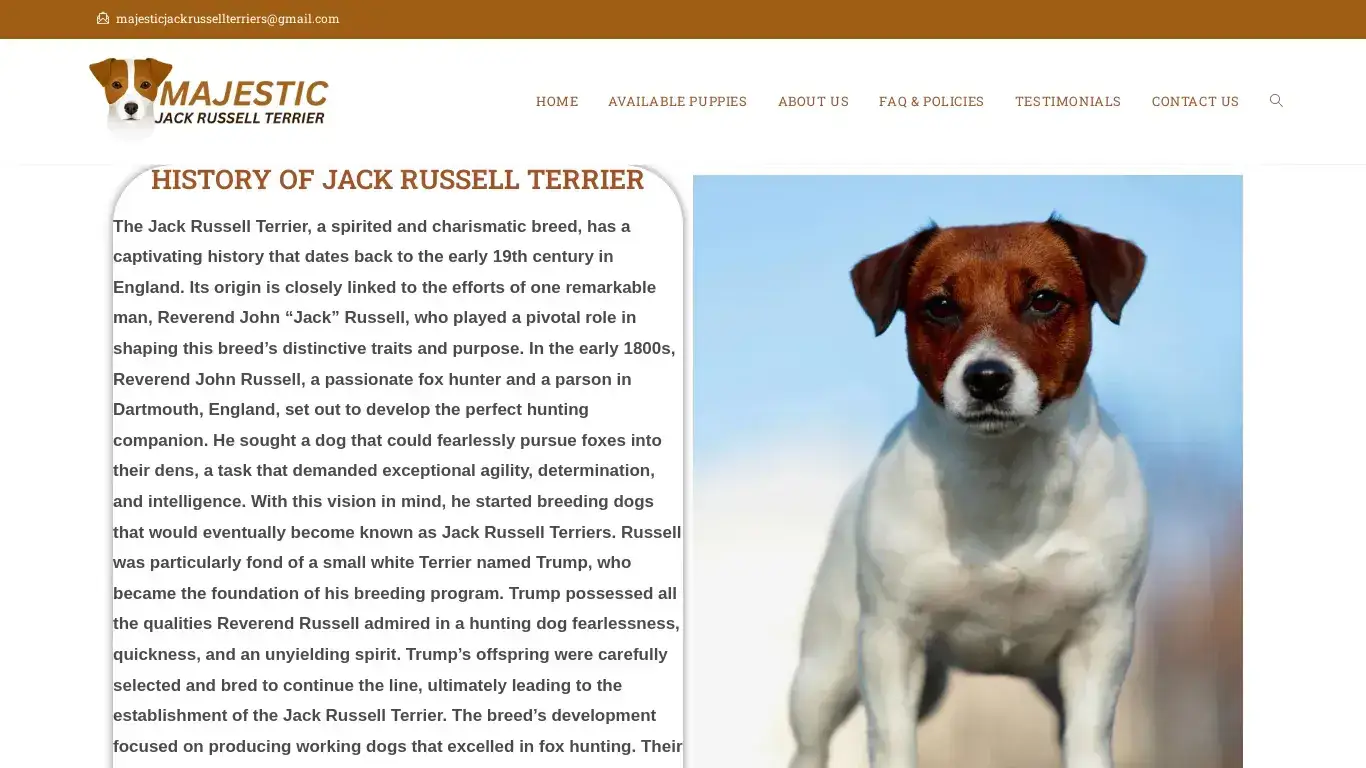 is Majestic Jack Russell Terrier – Licensed Jack Russell Terrier  Breeders legit? screenshot