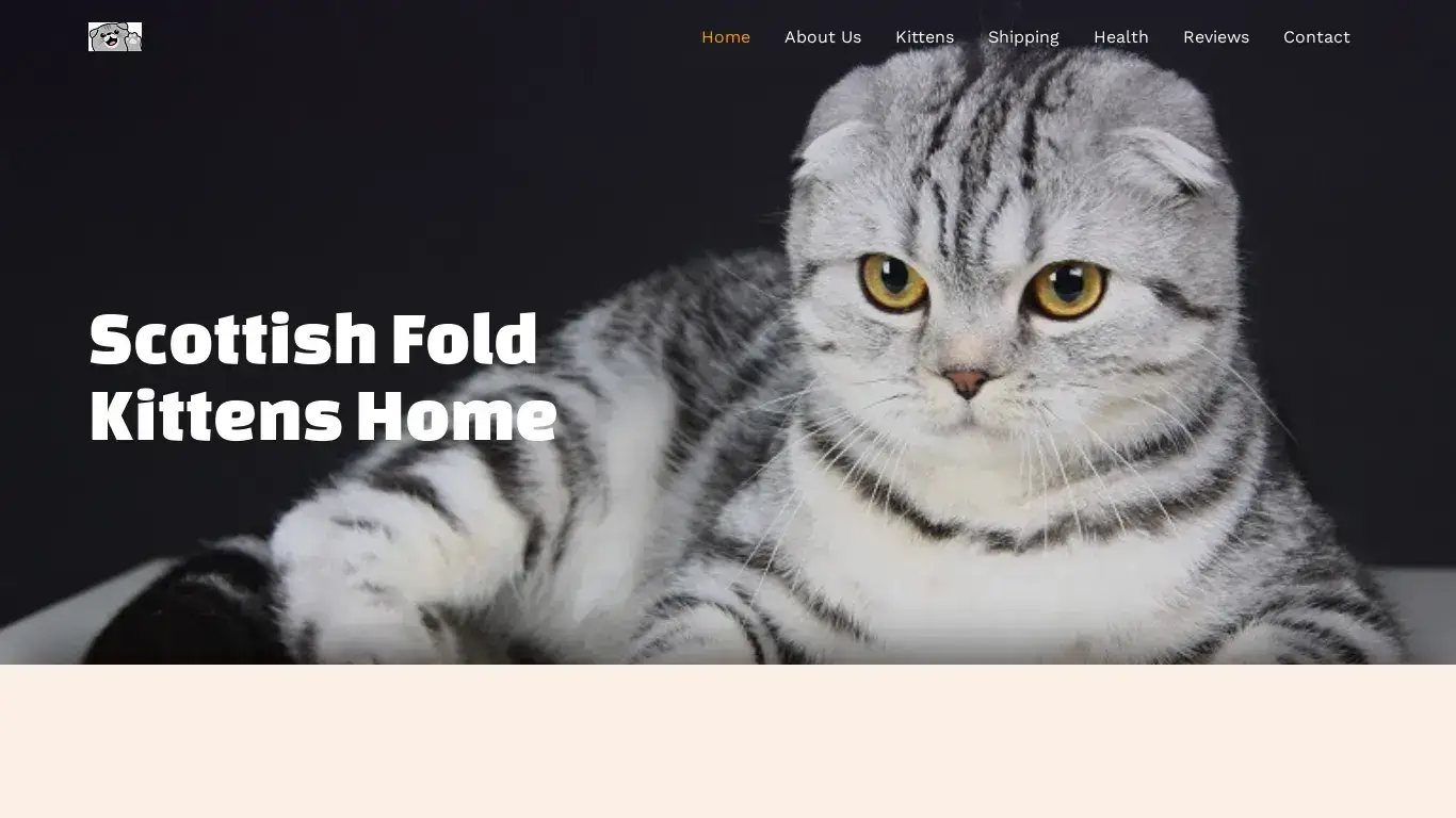 is scottish fold home – Scottish Fold Kittens legit? screenshot
