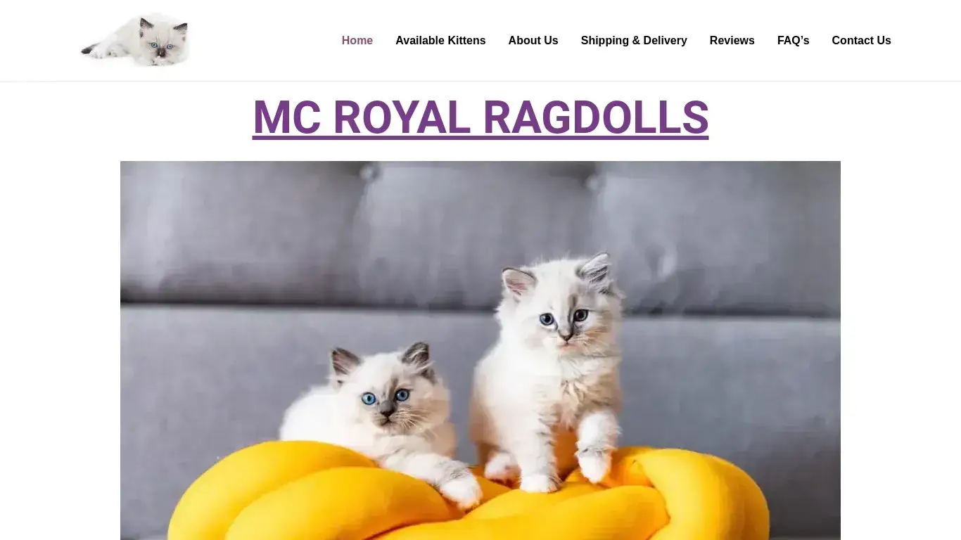 is Mc Royal Ragdolls – HOME OF THE FINEST RAGDOLL KITTENS legit? screenshot