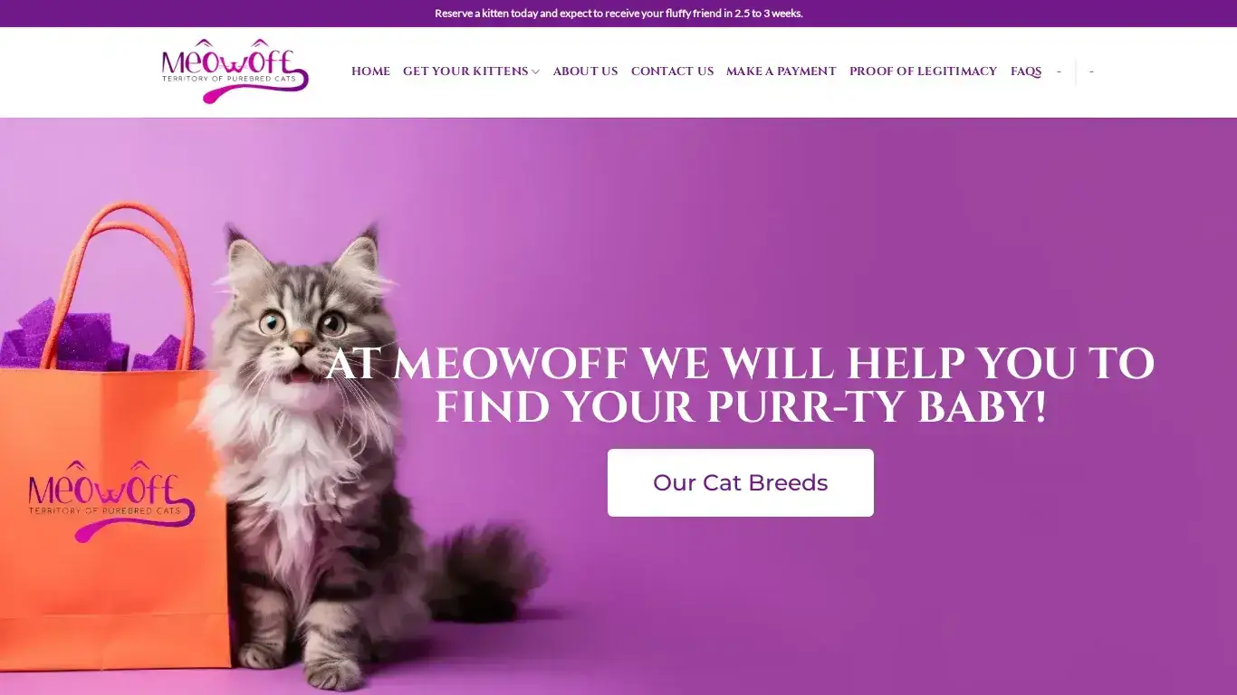 is Meowoff Kittens For Sale | Meowoff We Will Help You To Find Your Purrrrr-ty Baby! legit? screenshot