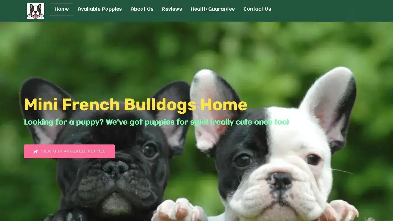 is Mini French Bulldogs Home – Mini French Bulldogs Puppies legit? screenshot