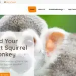 Is Monkeyhaven.com legit?