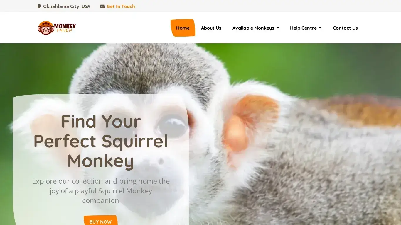 is Monkey Haven - Adorable Monkeys For Sale legit? screenshot