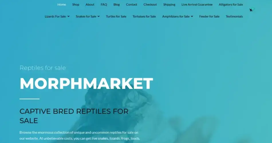 Is Morphmarkets.com legit?