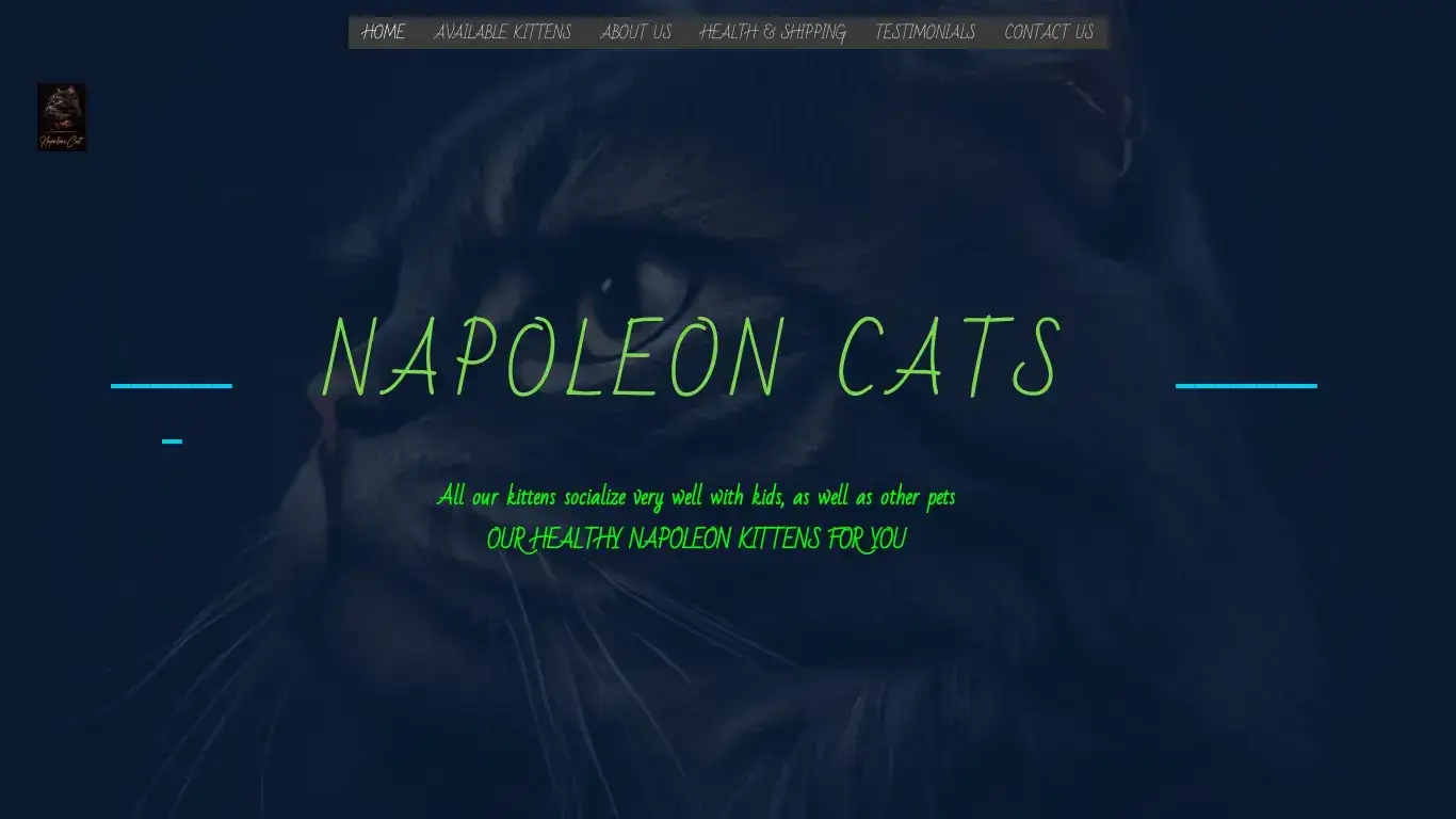 is Home - Napoleon Cat Kittens 😺 Cattery legit? screenshot