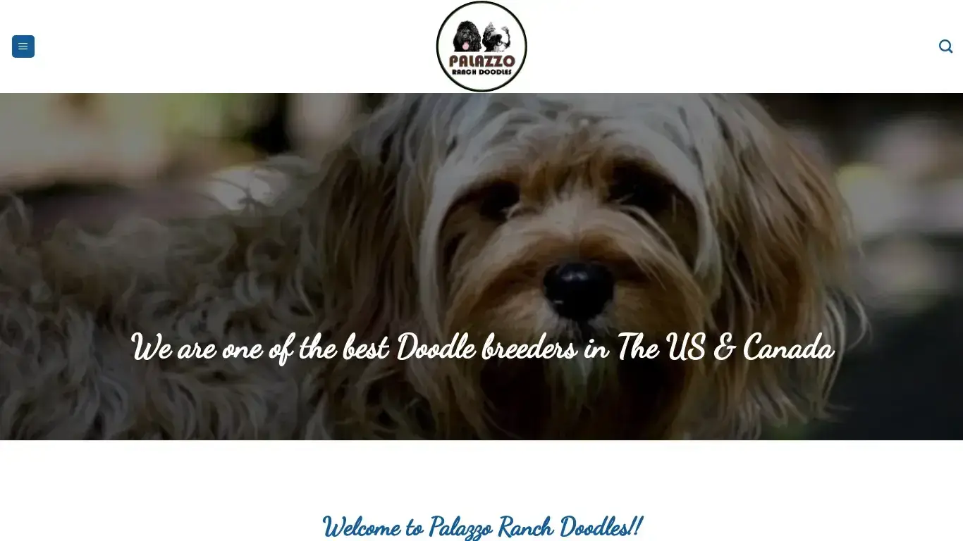 is PALAZZO RANCH DOODLES – Buy your choice Doodle puppy from Palazzo Ranch Doodles legit? screenshot