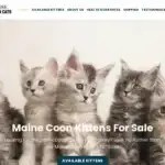 Is Paradisemainecooncats.com legit?