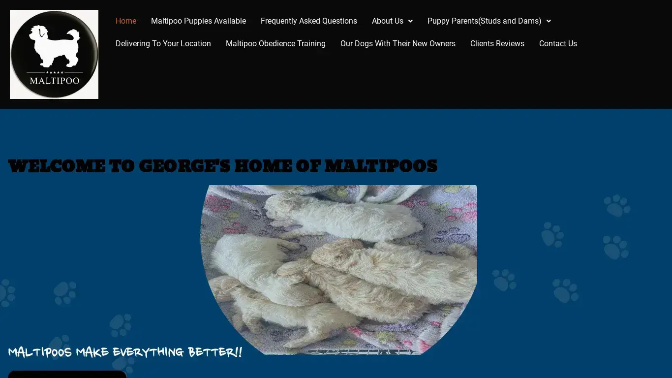 is George's Maltipoo Family – Maltipoo Puppies For Sale legit? screenshot