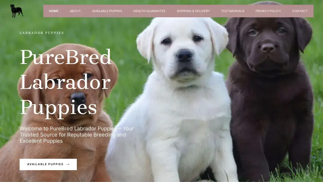 is PureBred Labrador Pups legit? screenshot