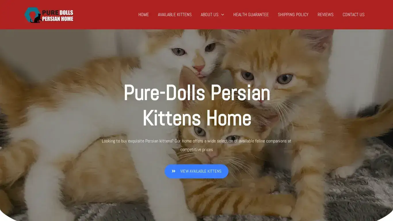 is Pure-Dolls Persian Kittens Home – We are a reputable breeder who extensively tests, provides consistent vet care, and purchases and raises champion-bred Persian kittens from all over the world. legit? screenshot