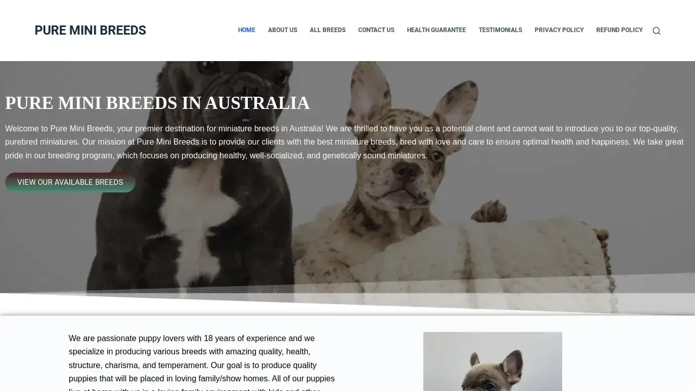 is PURE MINI BREEDS – Get The Best Of Miniature Puppies From Us In Australia legit? screenshot