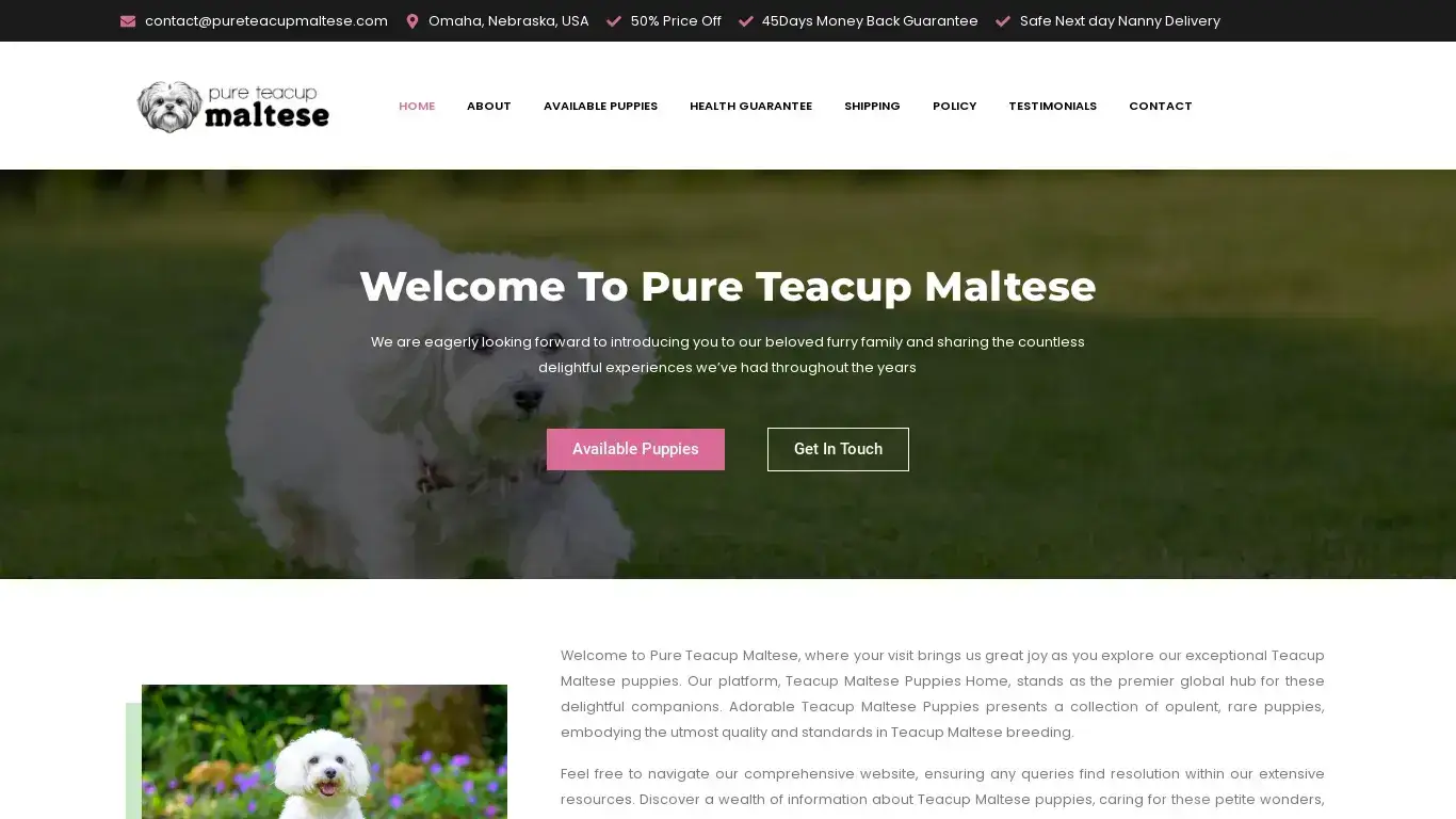 is Pure Teacup Maltese legit? screenshot