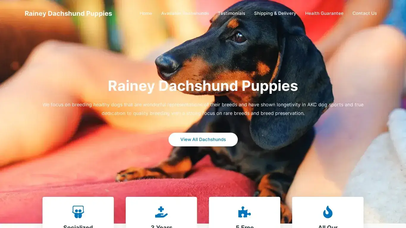 is Rainey Dachshund Puppies – Purebred Dachshund Puppies For Sale legit? screenshot