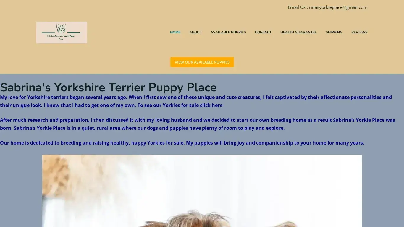 is Yorkie Puppies For Sale | Sabrina’s Yorkshire Terrier Puppy Place – Here at Sabrina’s Yorkshire Terrier Puppy Place, We strive to provide dog lovers with smart and cute Yorkie puppies at a reasonable price. legit? screenshot