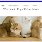 Is Royalfelinepalace.com legit?
