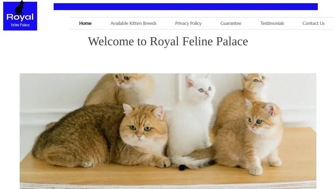 is HOME | Royal Feline Palace legit? screenshot
