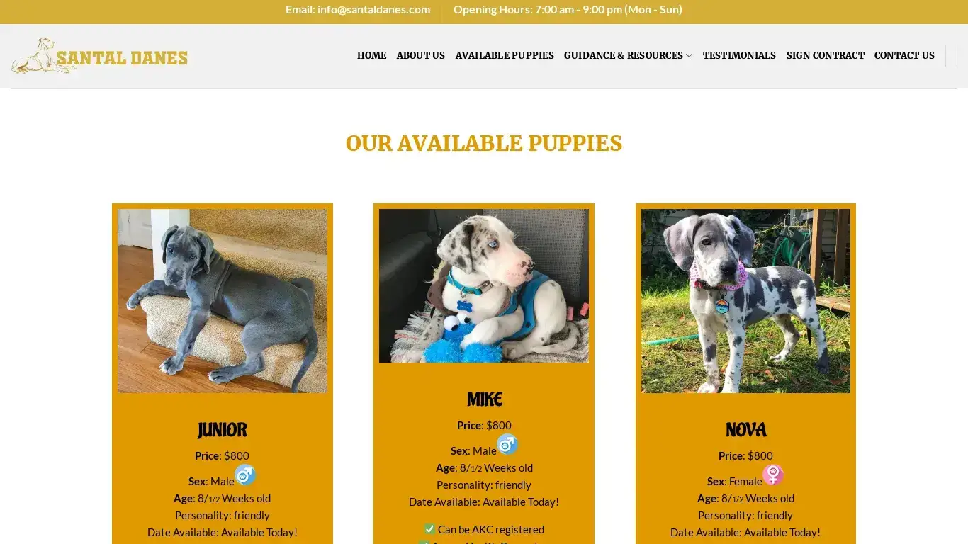 is Santal Danes – Great Dane Puppies for sale legit? screenshot