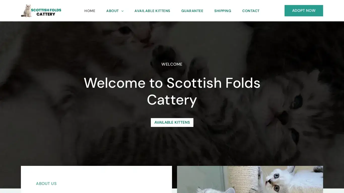 is Home - Scottish Folds Cattery legit? screenshot