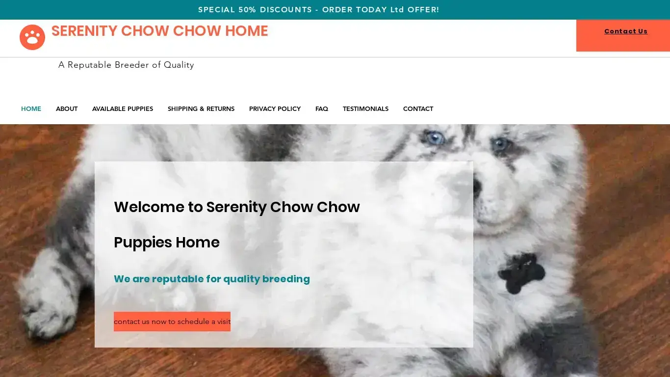 is Serenity Chow Chow puppies Home | chow chow puppies for sale legit? screenshot