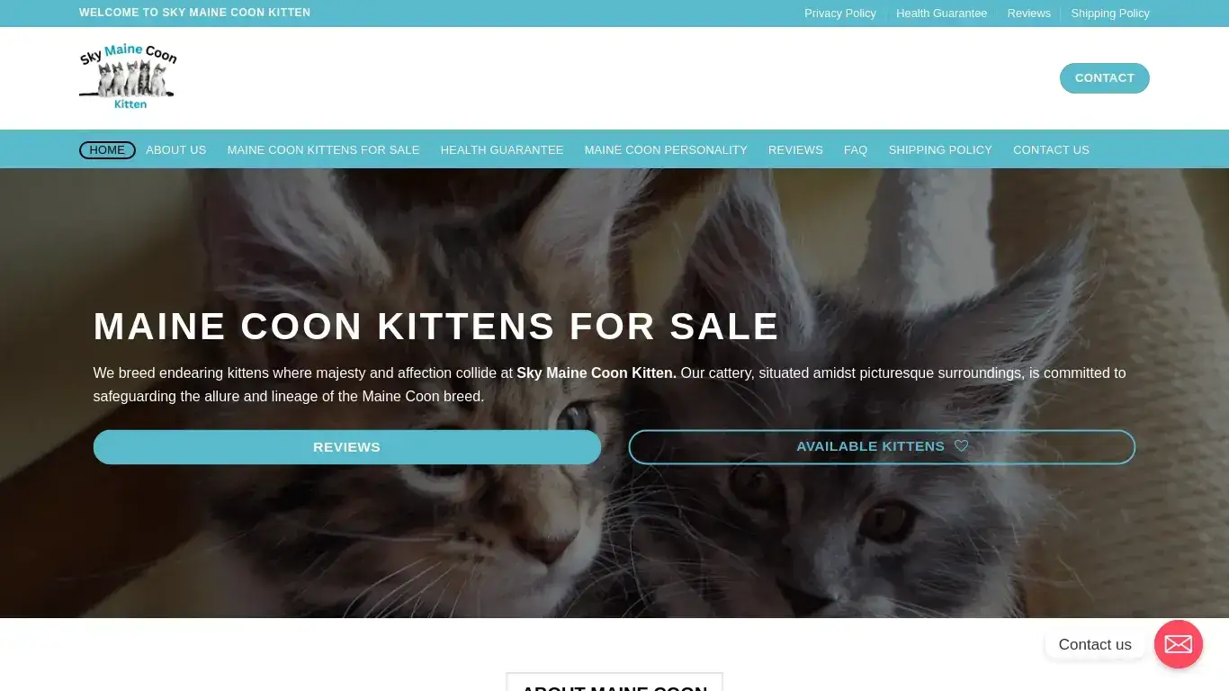 is Sky Maine Coon Kitten – maine coon kittens for sale legit? screenshot
