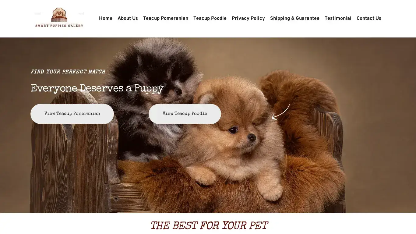 is smartpuppiesgalery.com – Healthy Tea Cup Puppies For Sale legit? screenshot