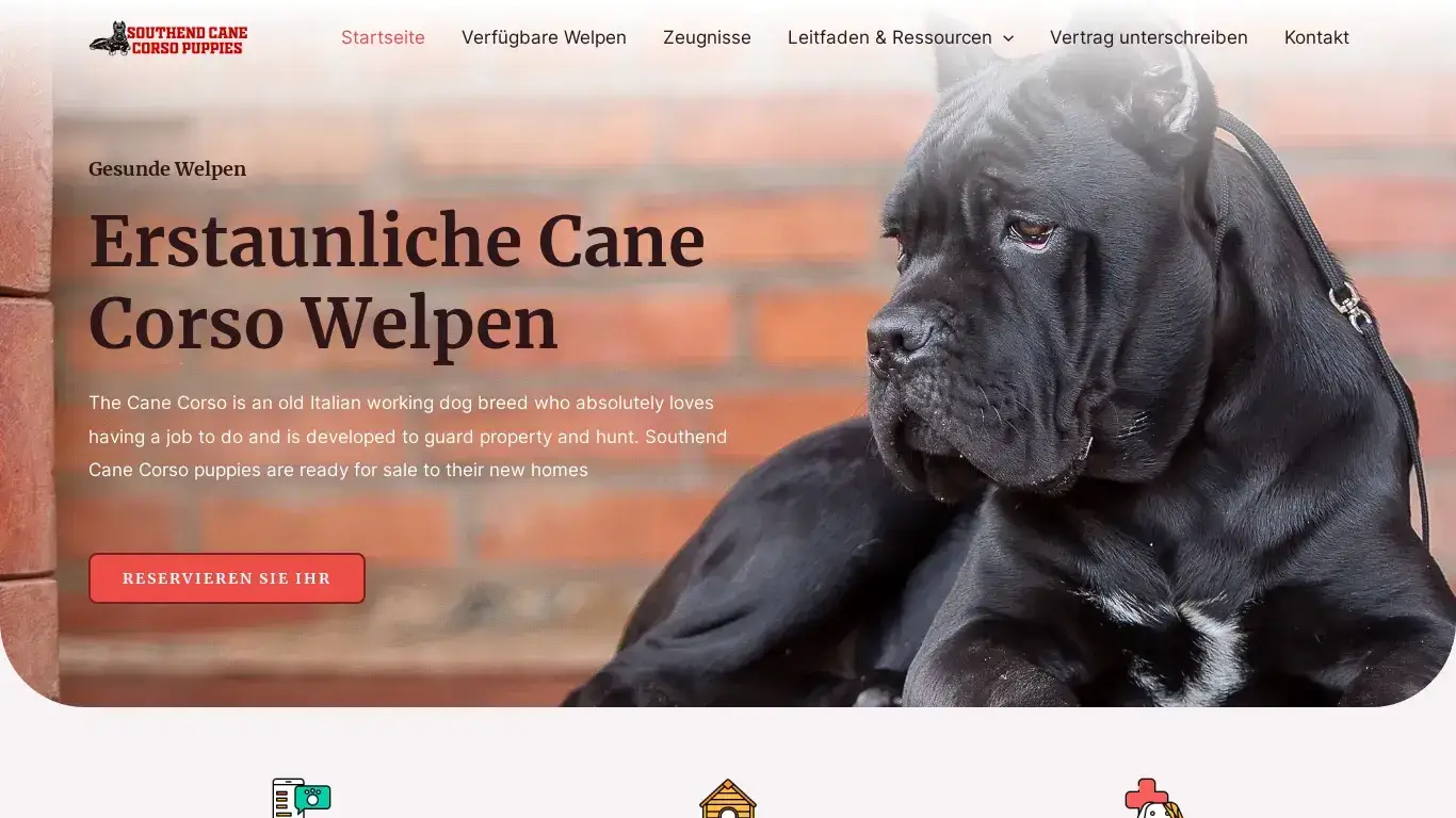 is Southend Cane Corso Welpen – Die Heimat des Erstaunlichen Welpen zu verkaufen legit? screenshot